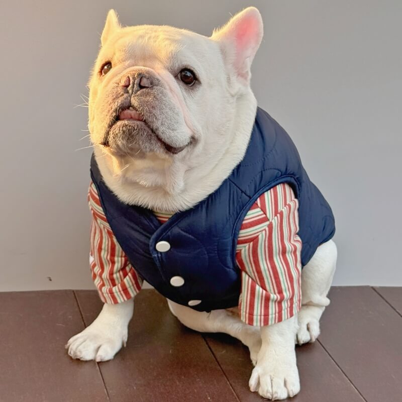 Fishing Bear Dog Puffer Vest
