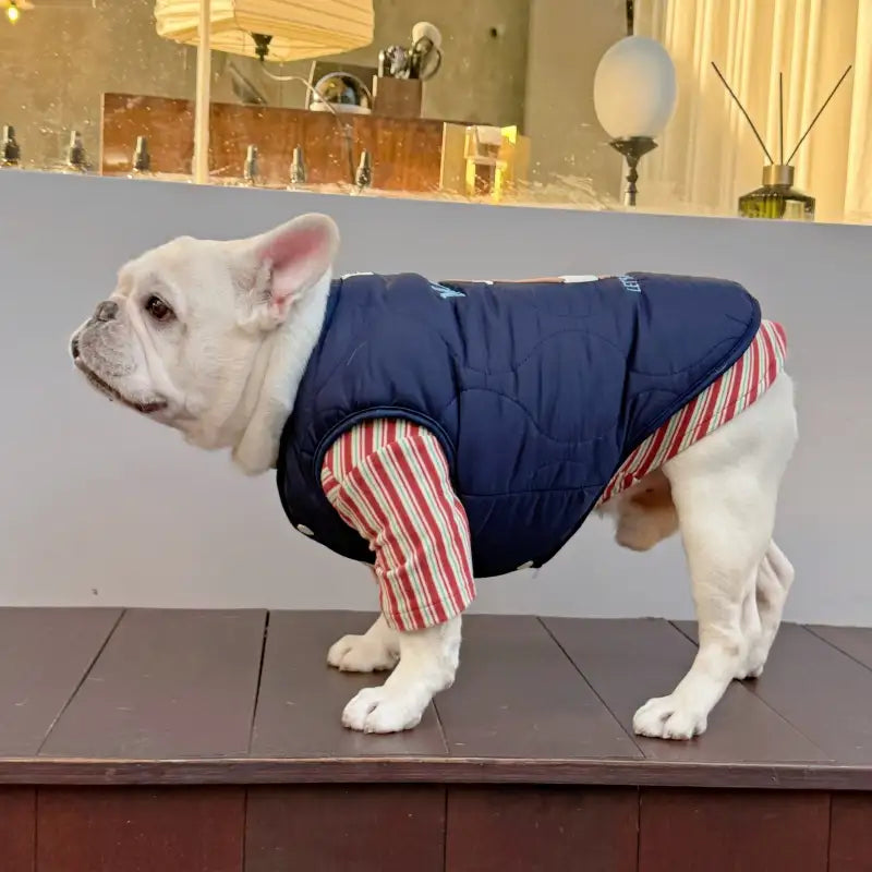 Fishing Bear Dog Puffer Vest