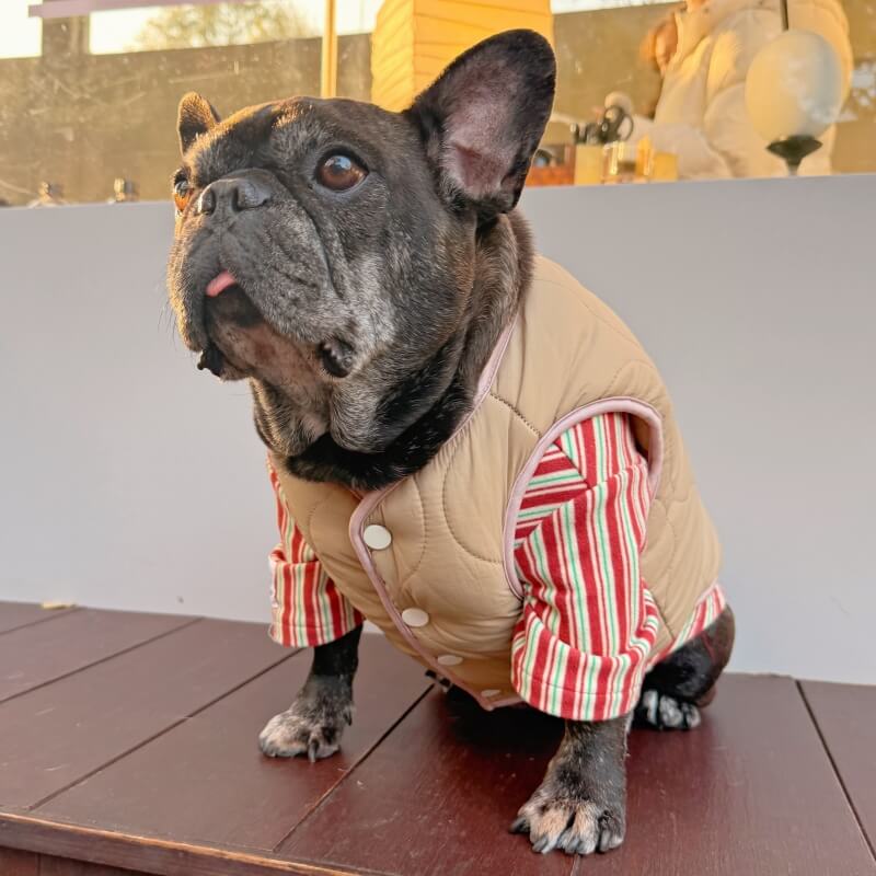 Fishing Bear Dog Puffer Vest