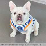 Blue Striped Giraffe Printing Summer Dog Tank Top