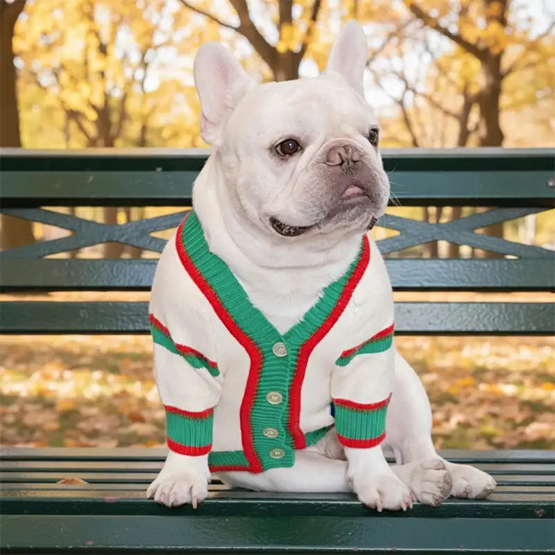 Dog Cardigan Sweater
