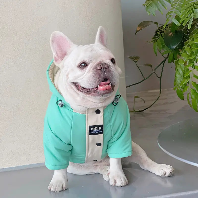 Mint Adventure Dog Puffer Jacket
