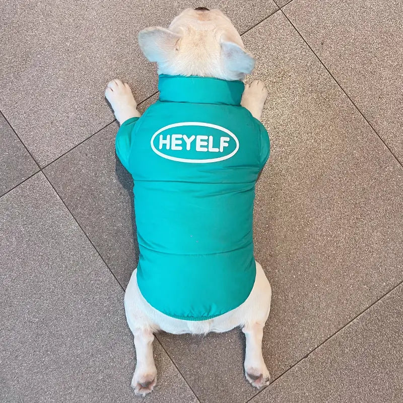 Aqua Zip-Up Dog Puffer Jacket