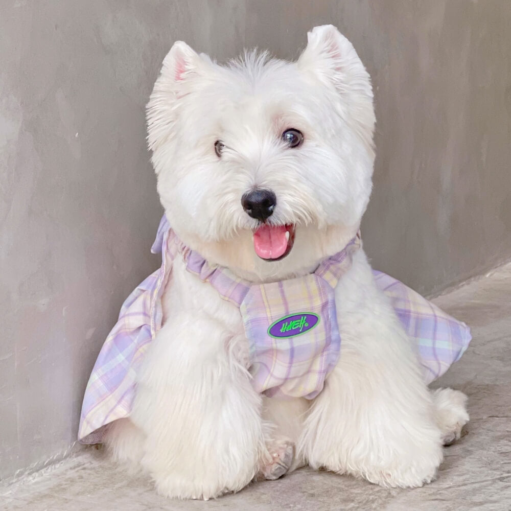 Purple JK Plaid Dog Dress