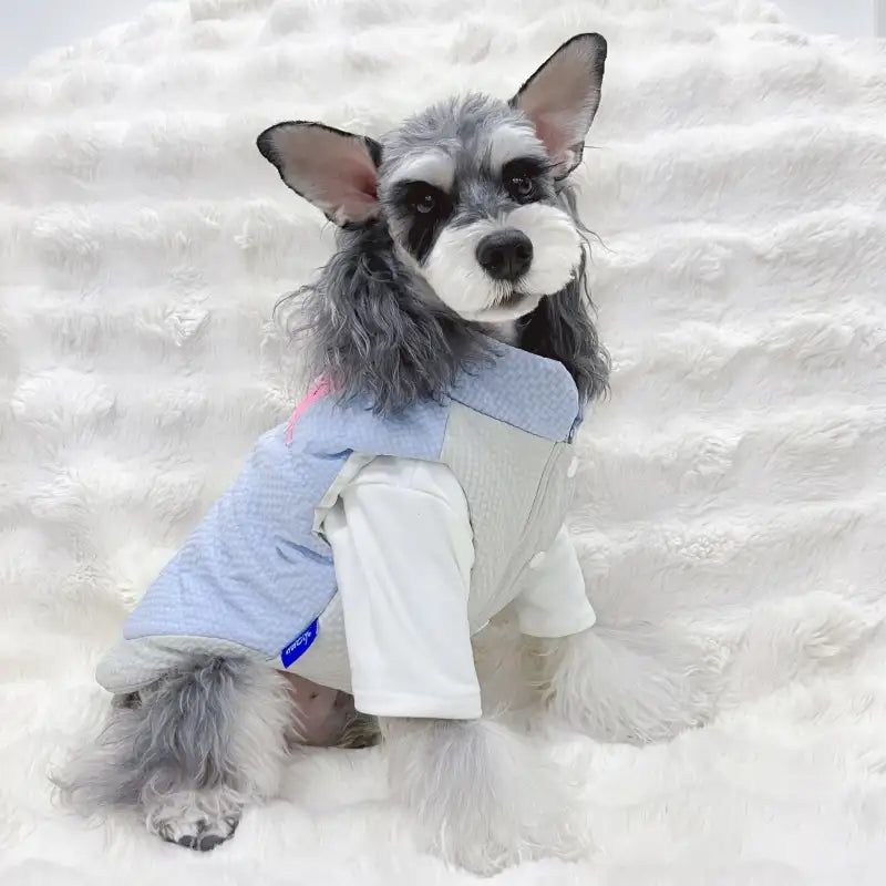 Pink Rabbit Dog Puffer Vest