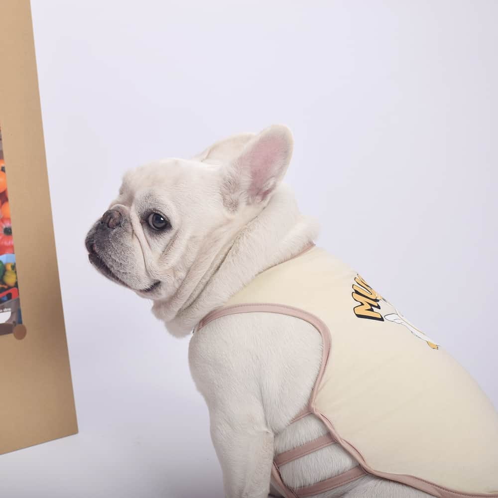 Light Yellow Duck Summer Dog Shirt