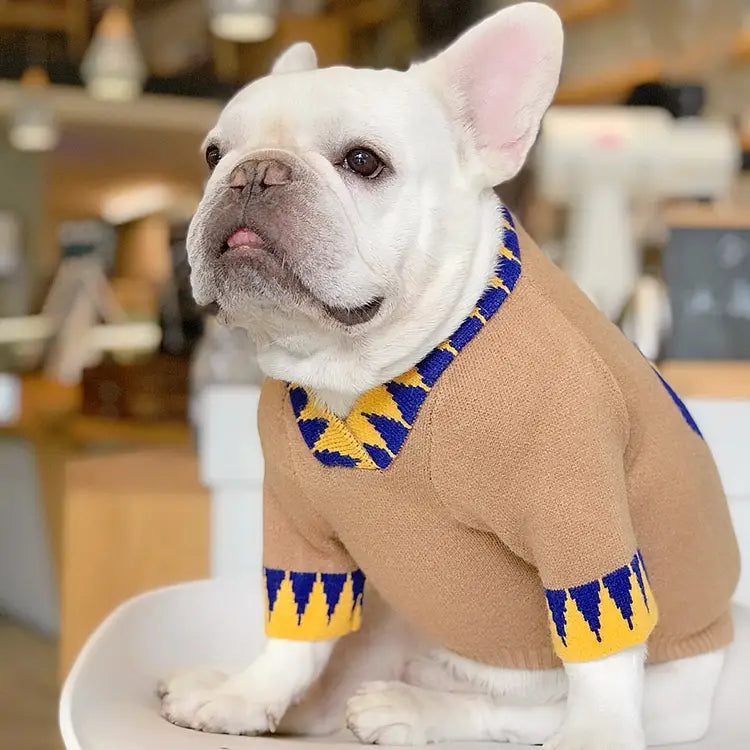 Lucky Day Dog Sweater