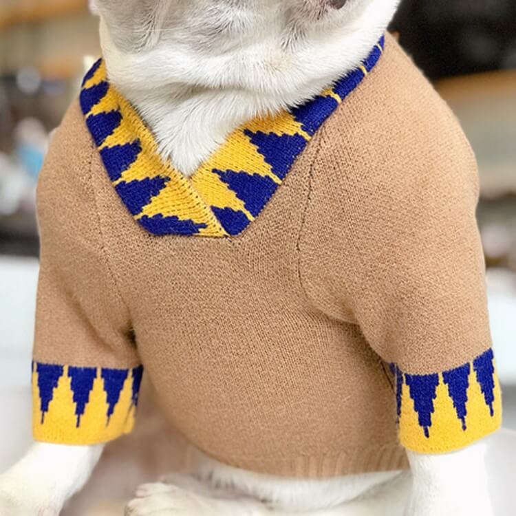 Lucky Day Dog Sweater