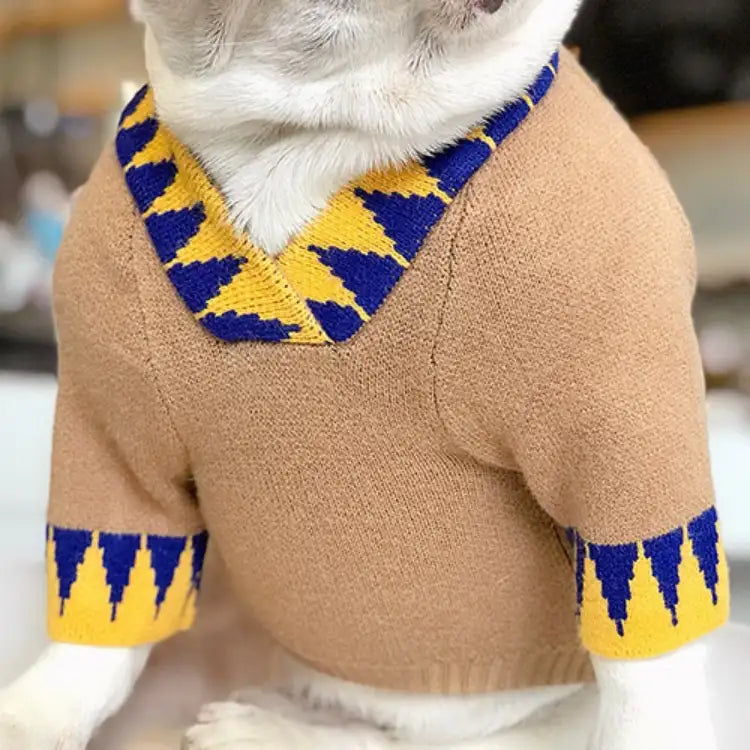 Lucky Day Dog Sweater