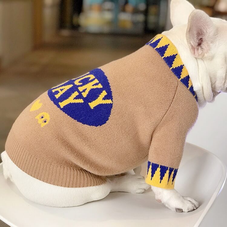 Lucky Day Dog Sweater