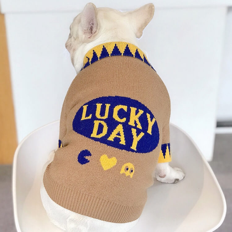 Lucky Day Dog Sweater