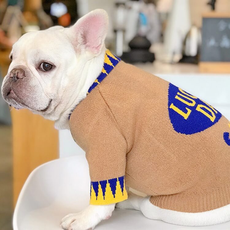 Lucky Day Dog Sweater