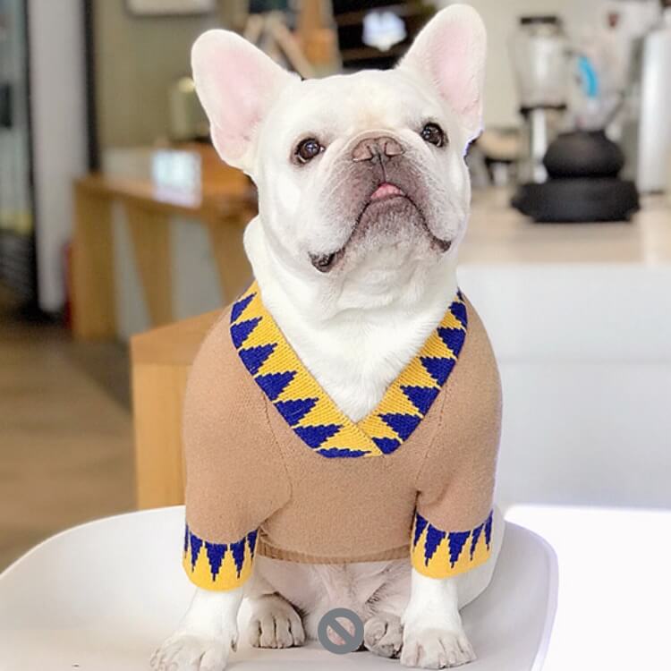 Lucky Day Dog Sweater