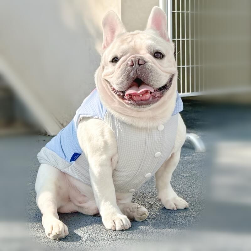 Pink Rabbit Dog Puffer Vest