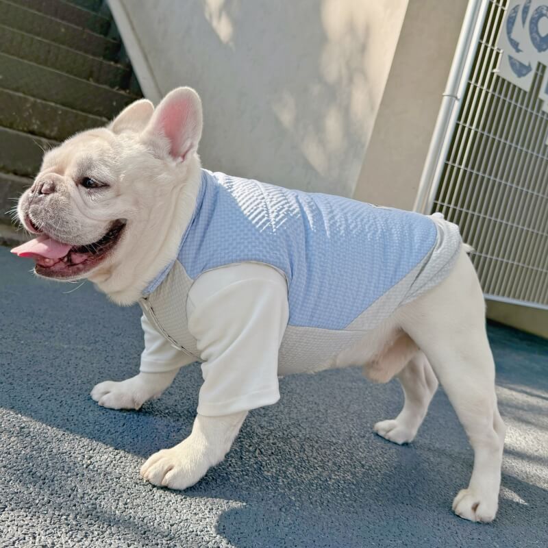 Pink Rabbit Dog Puffer Vest