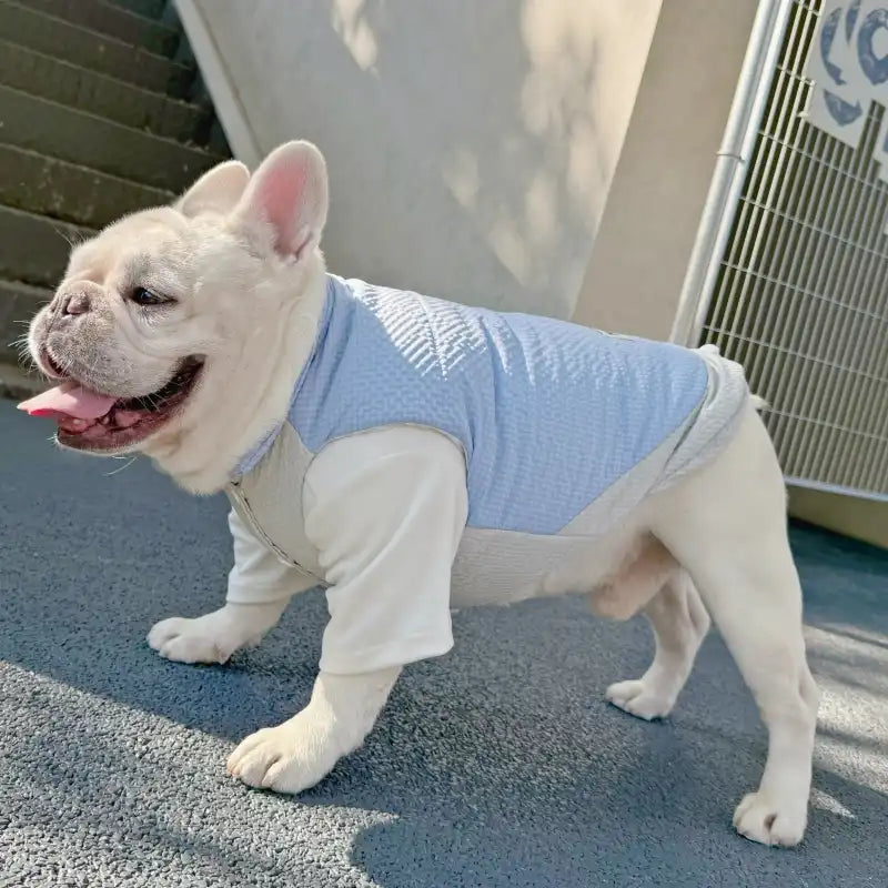 Pink Rabbit Dog Puffer Vest
