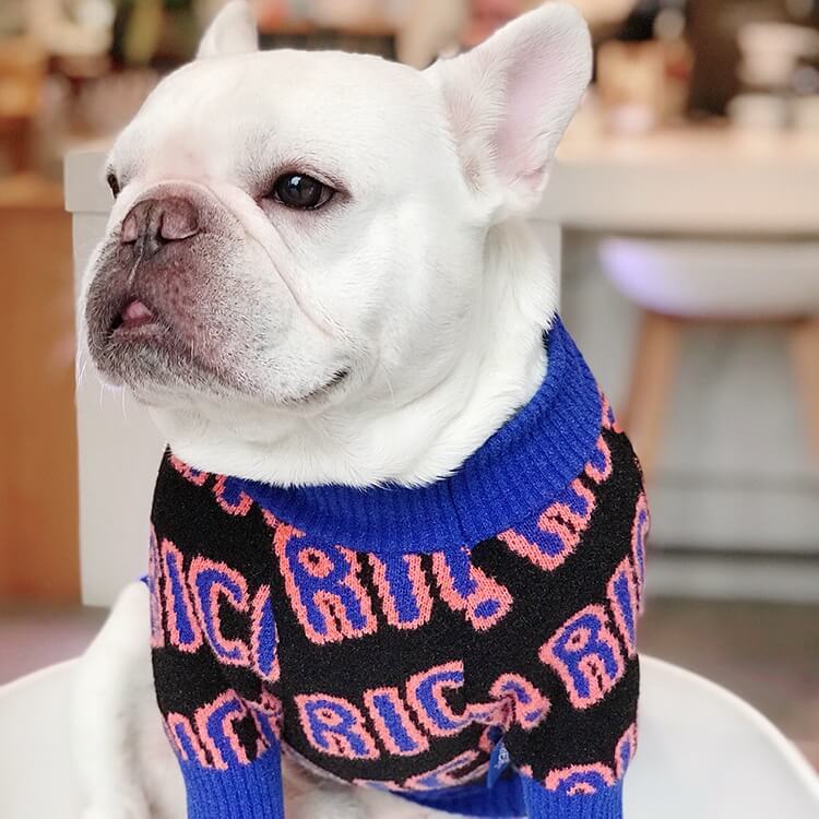 Rich Dog Sweater