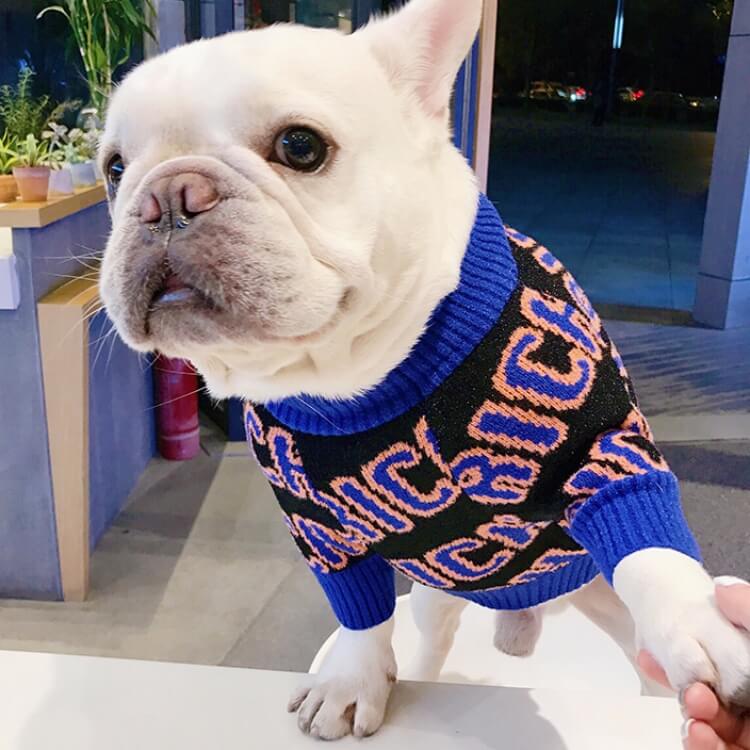 Rich Dog Sweater