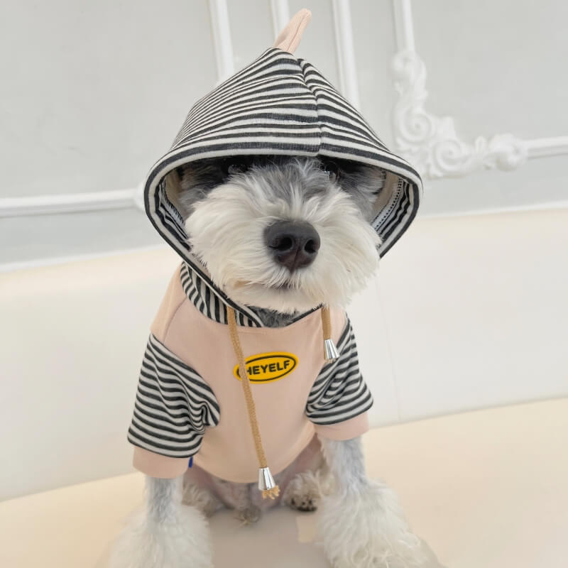 Dinosaur Fleece Dog Hoodies