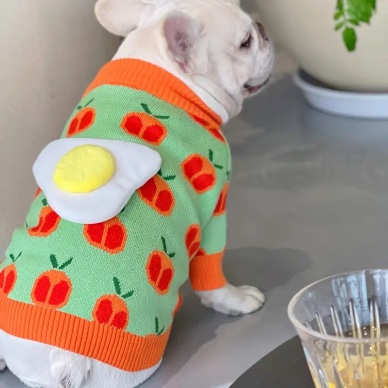 Dog Sweater Eggs Tomatoes