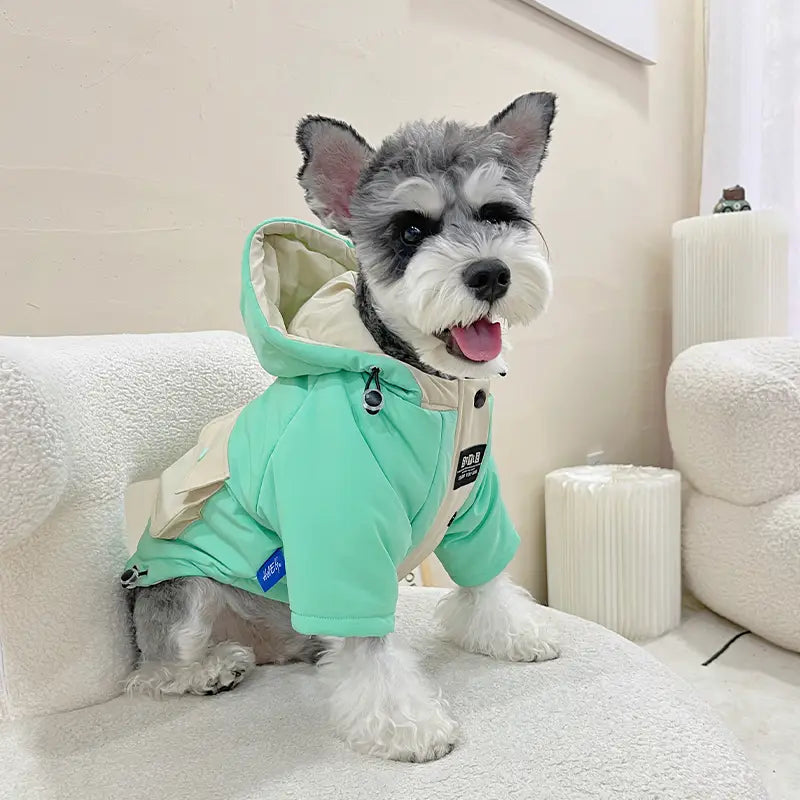 Mint Adventure Dog Puffer Jacket