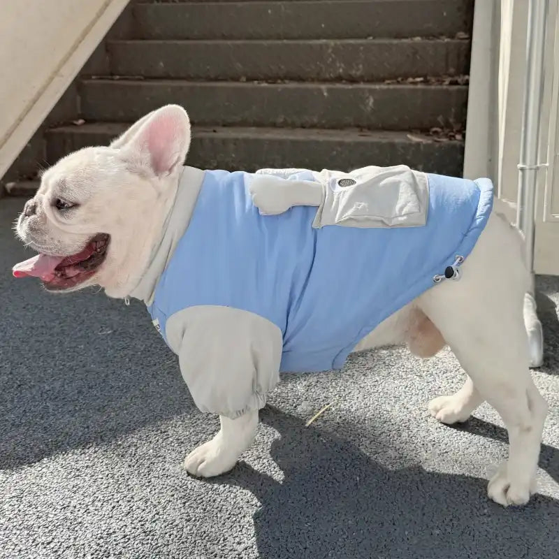 Snail Dog Puffer Jacket