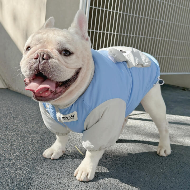 Snail Dog Puffer Jacket