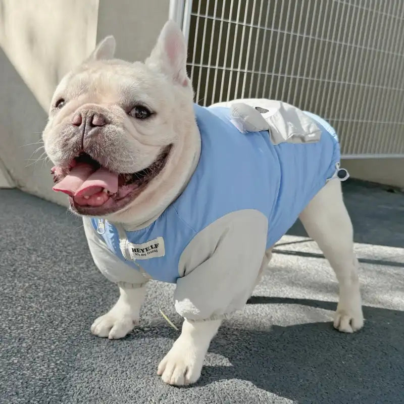 Snail Dog Puffer Jacket
