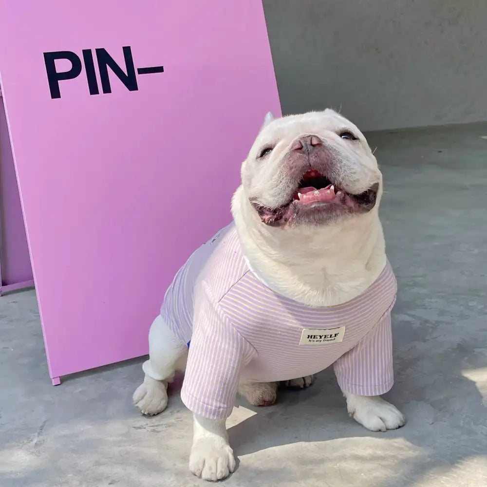 Cartoon Striped Dog T-shirt