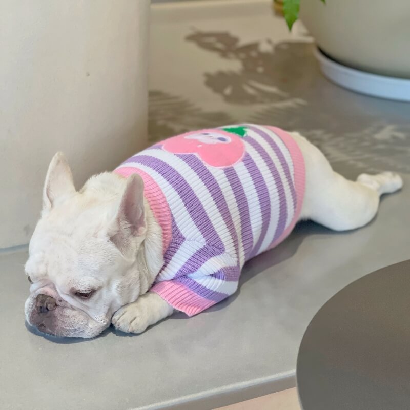 Tulip Dog Sweater