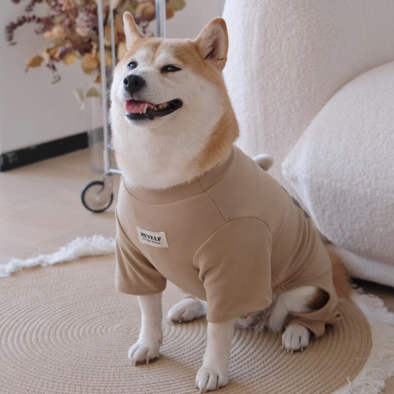 Hedgehog Ultra-soft Warm Dog Pajamas
