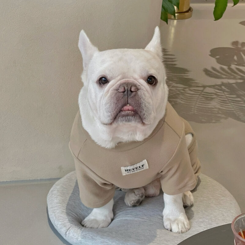 Hedgehog Ultra-soft Warm Dog Pajamas