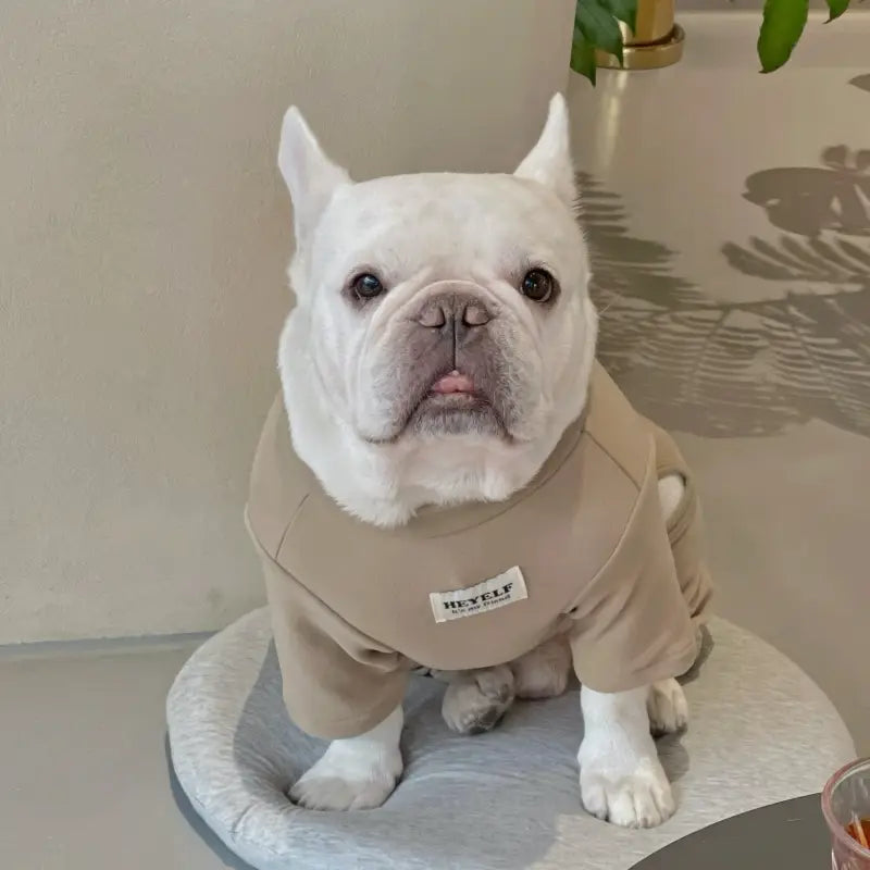 Hedgehog Ultra-soft Warm Dog Pajamas