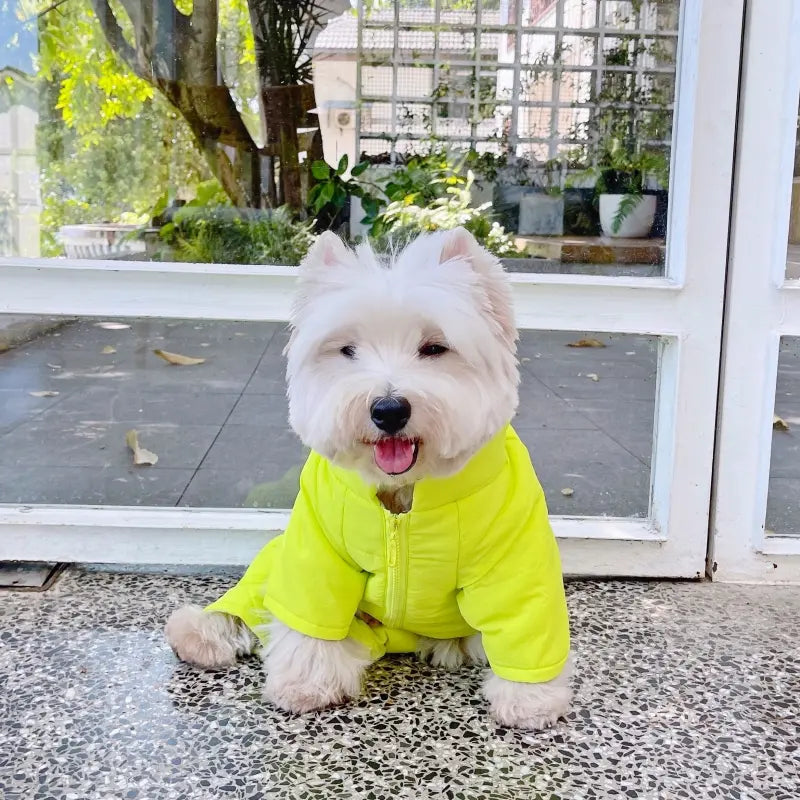 Dog Snowsuit - Lime Glow