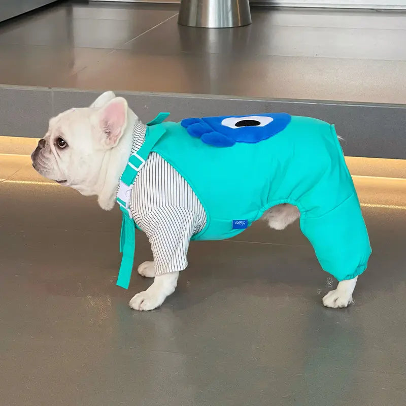 Dog Snow Pants - Aqua Green