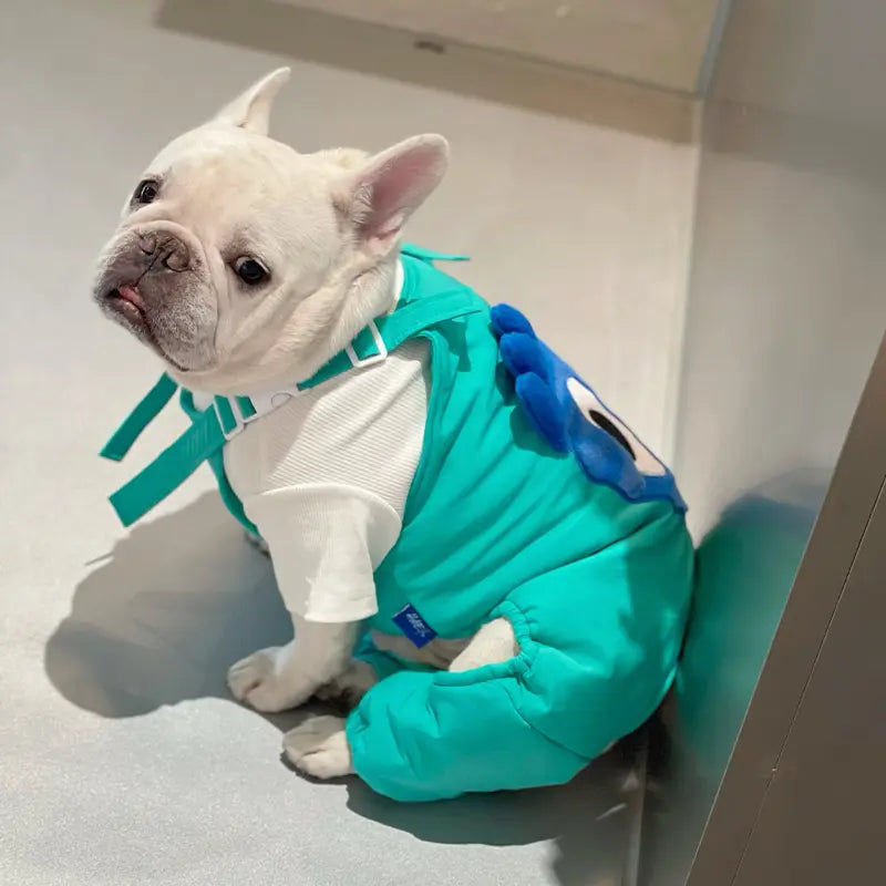 Dog Snow Pants - Aqua Green