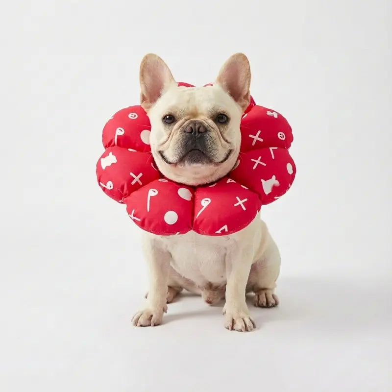 Soft Cone for Dogs