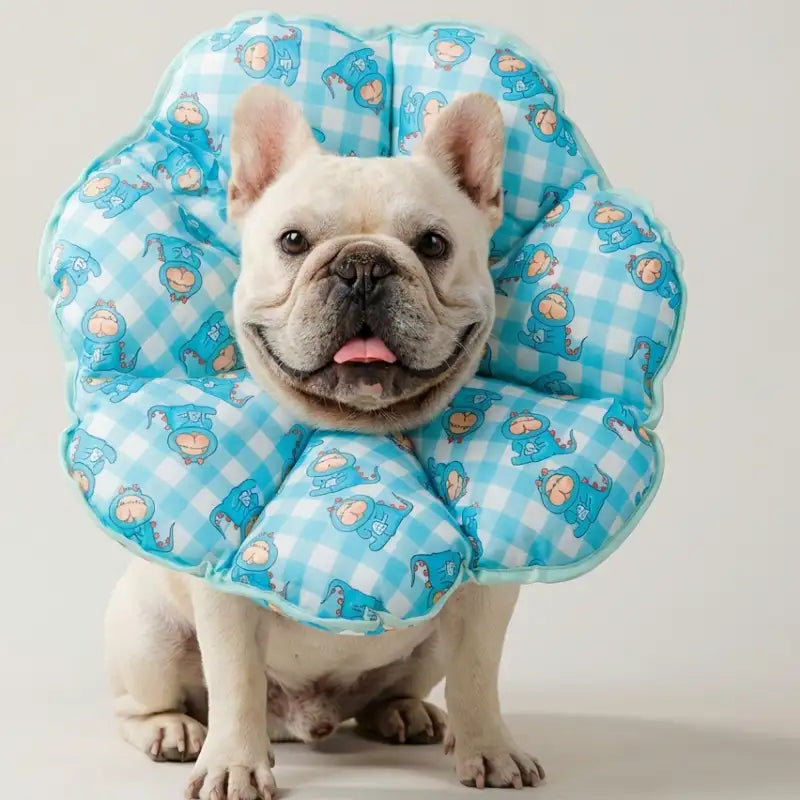 Soft Cone for Dogs