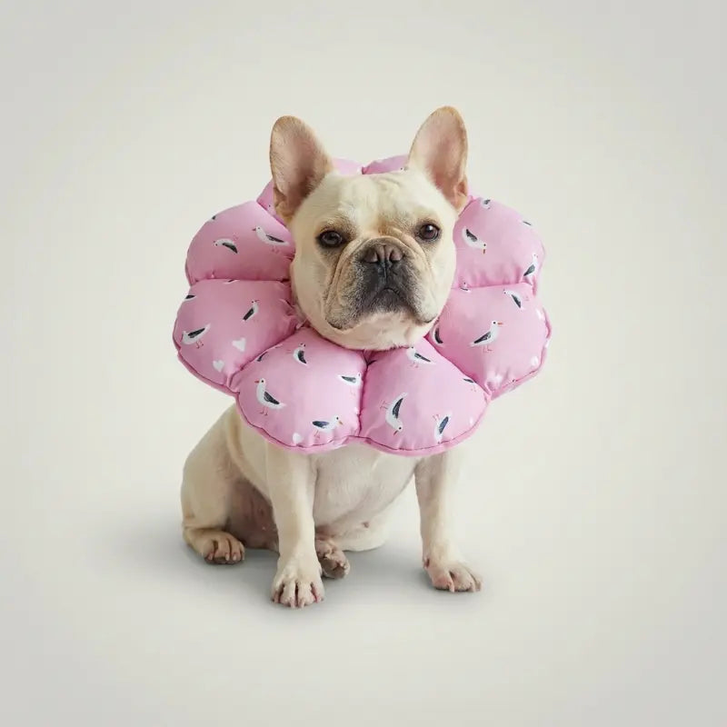Soft Cone for Dogs