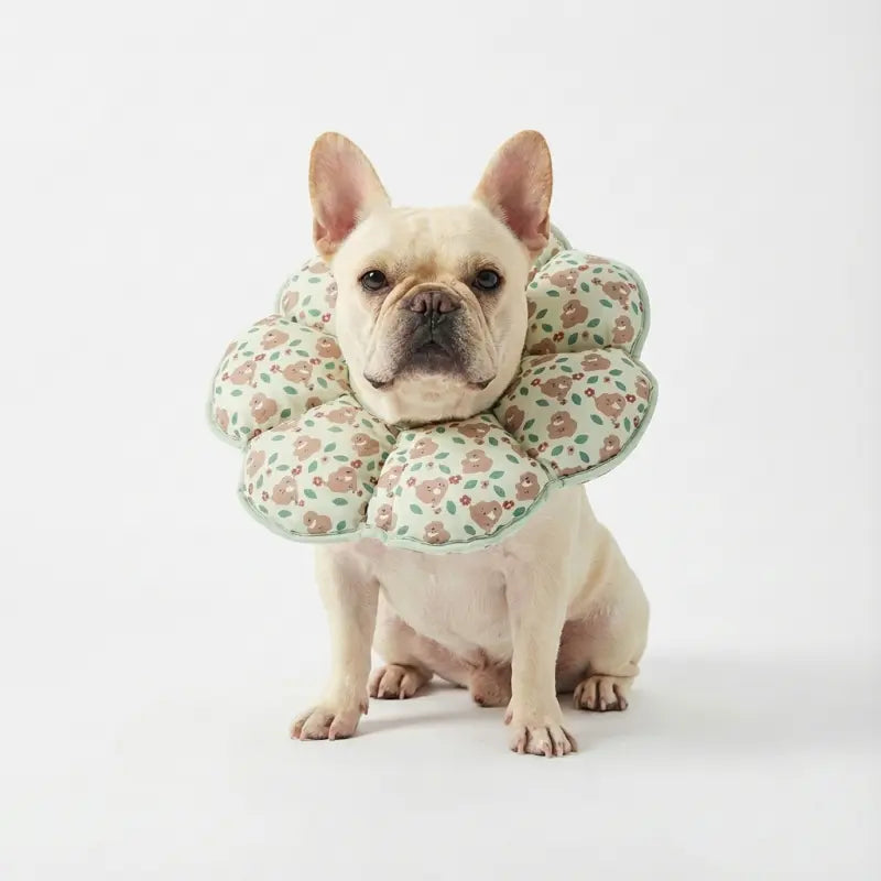 Soft Cone for Dogs