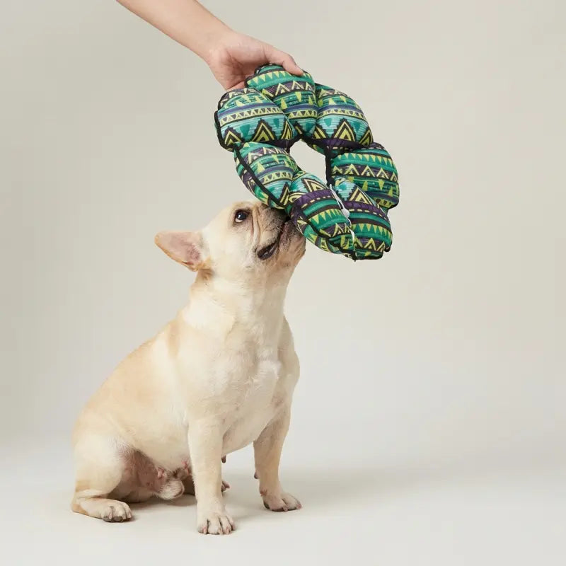 Soft Cone for Dogs