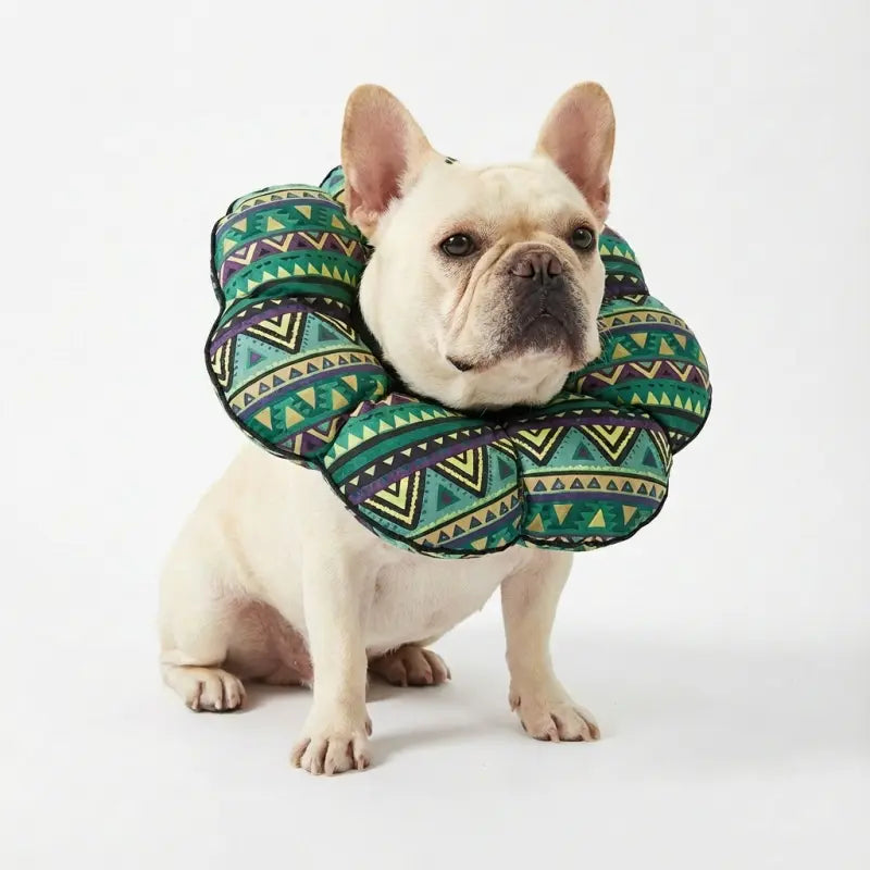 Soft Cone for Dogs