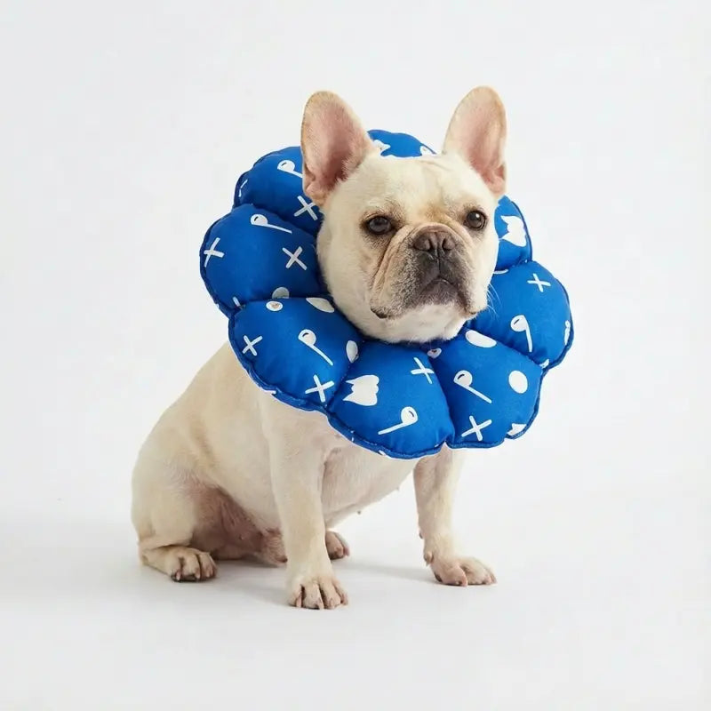 Soft Cone for Dogs