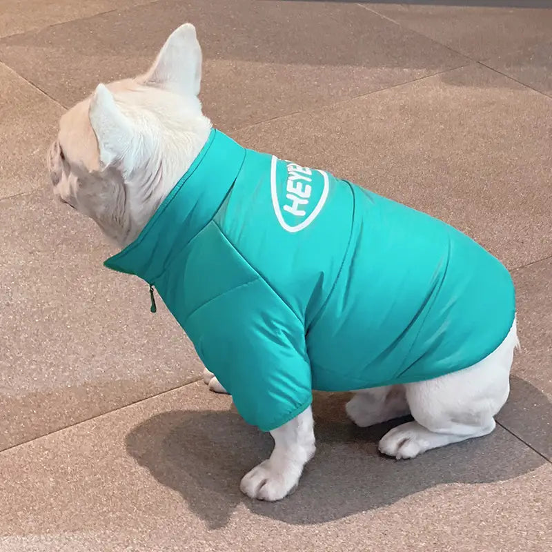 Aqua Zip-Up Dog Puffer Jacket