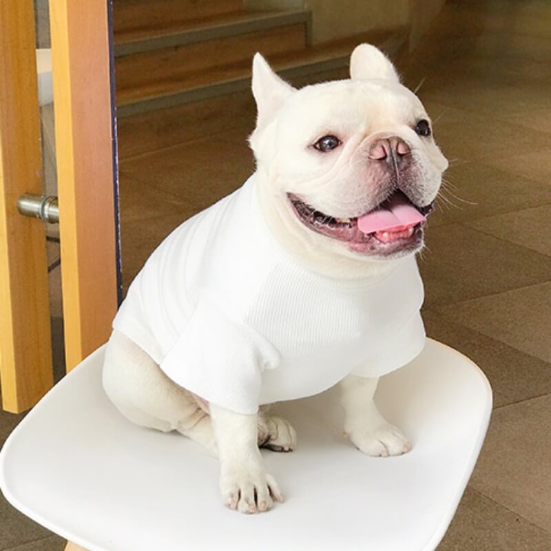 Wedding Dog Suit Set