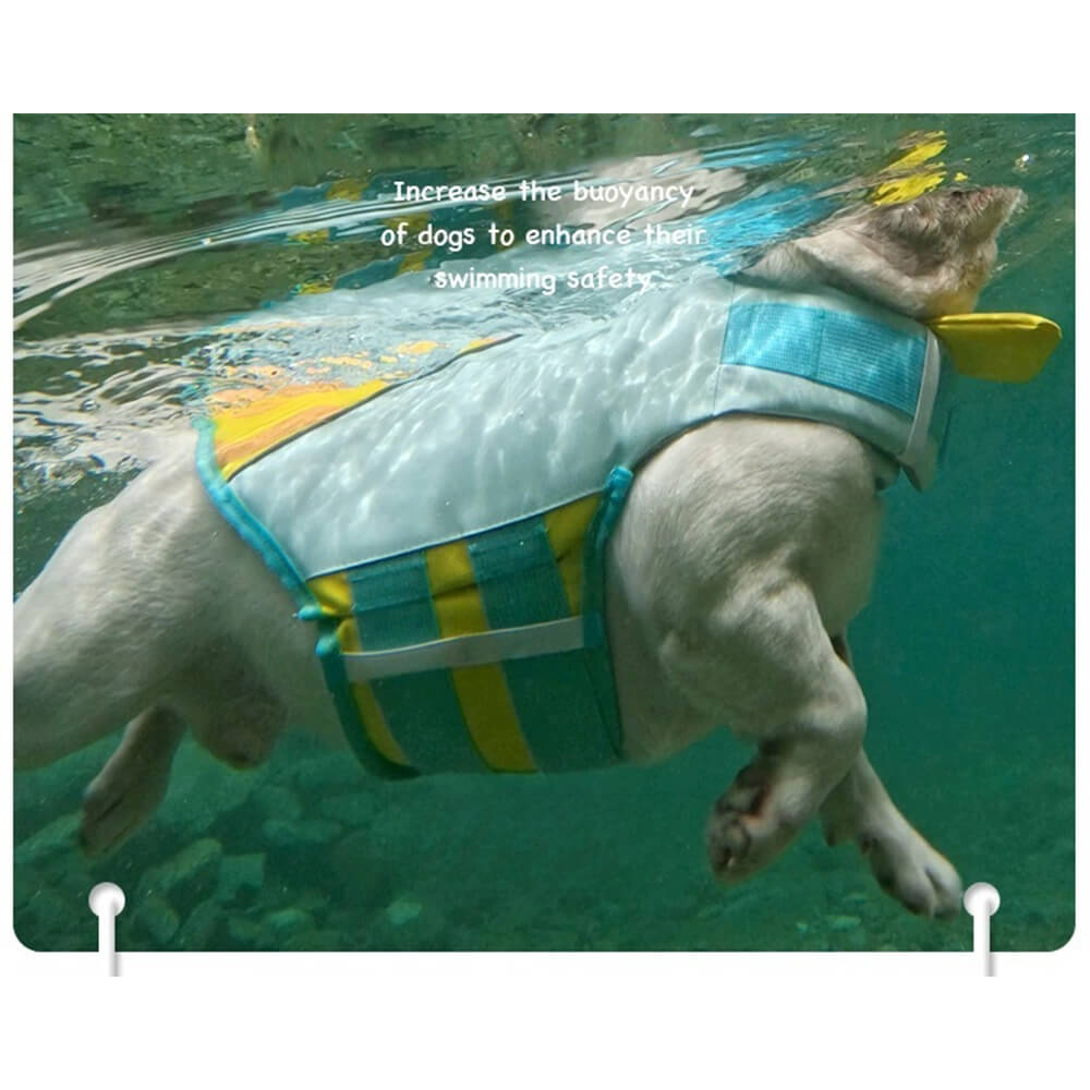 Dog Life Jackets