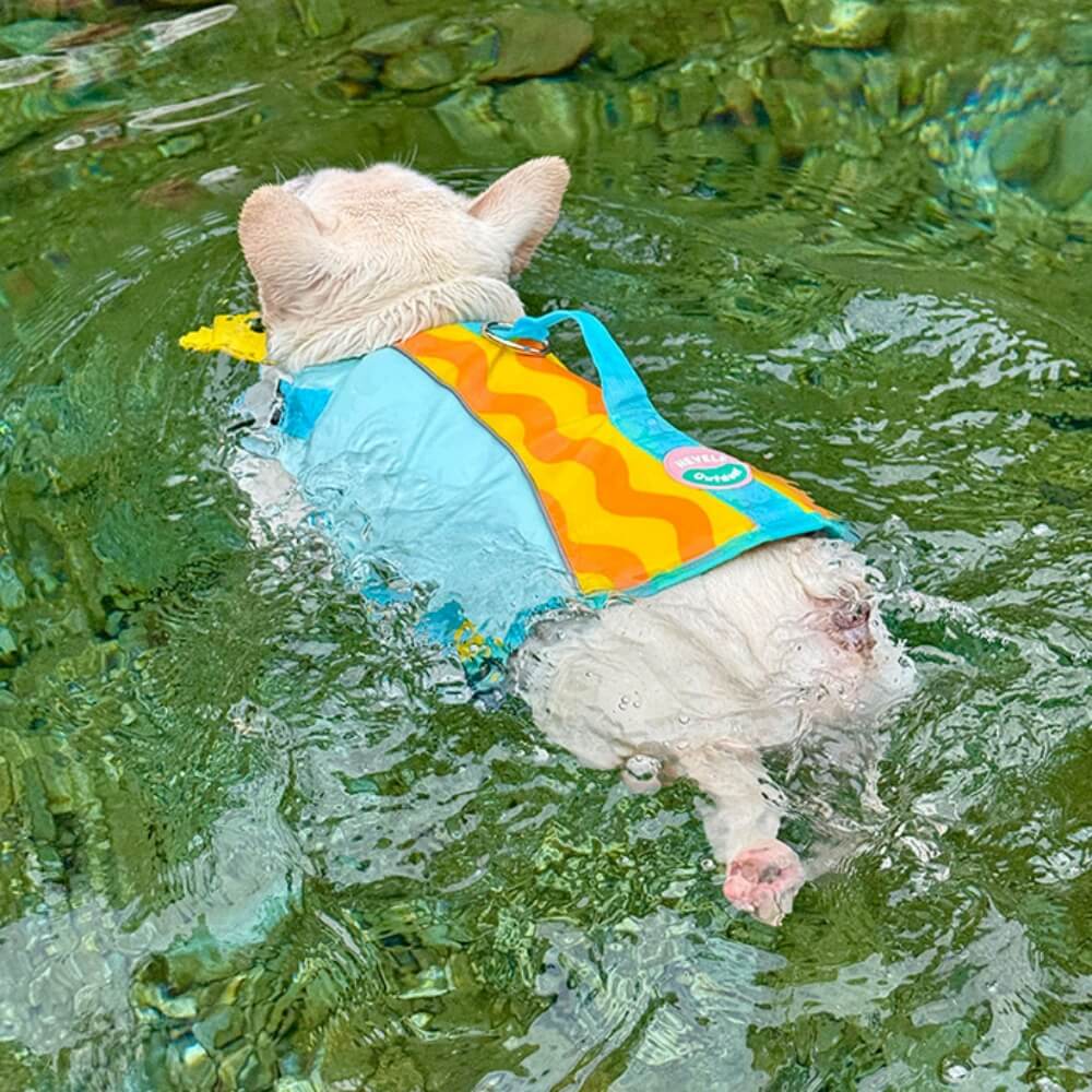 Dog Life Jackets