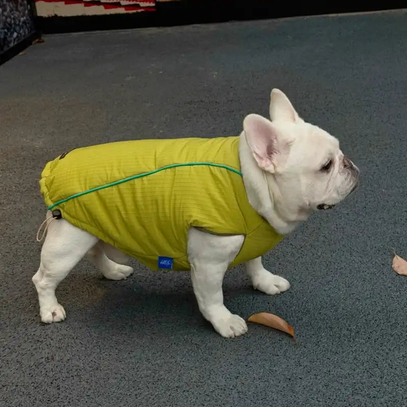 Premium Reversible Dog Winter Vest - Mustard Gold & Sage Green