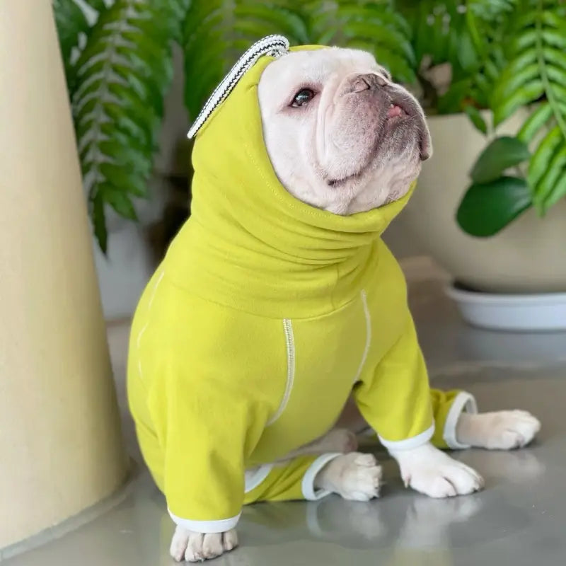 Purple Turtleneck Dog Bodysuit