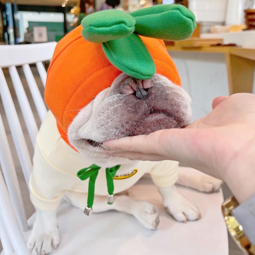 Funny Dog Hoodies
